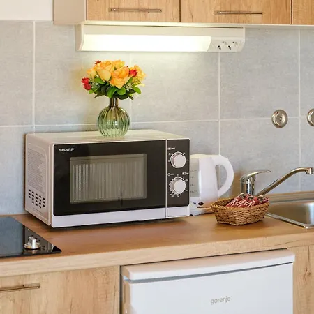 Sani - Double With Terrace And Sea View S3 Apartamento